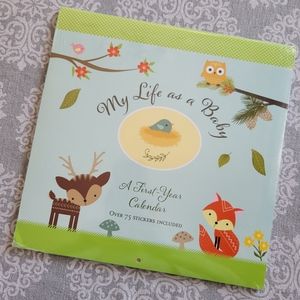 Baby's first year calendar